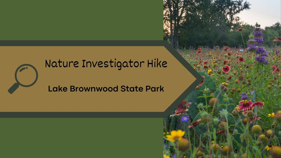 Nature Investigator Hike